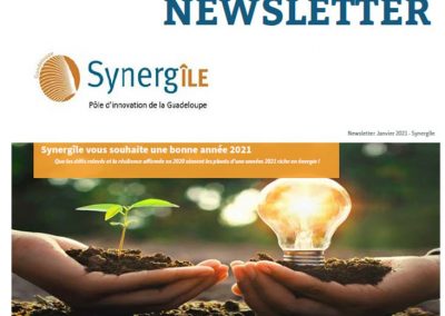 Newsletter Février 2021