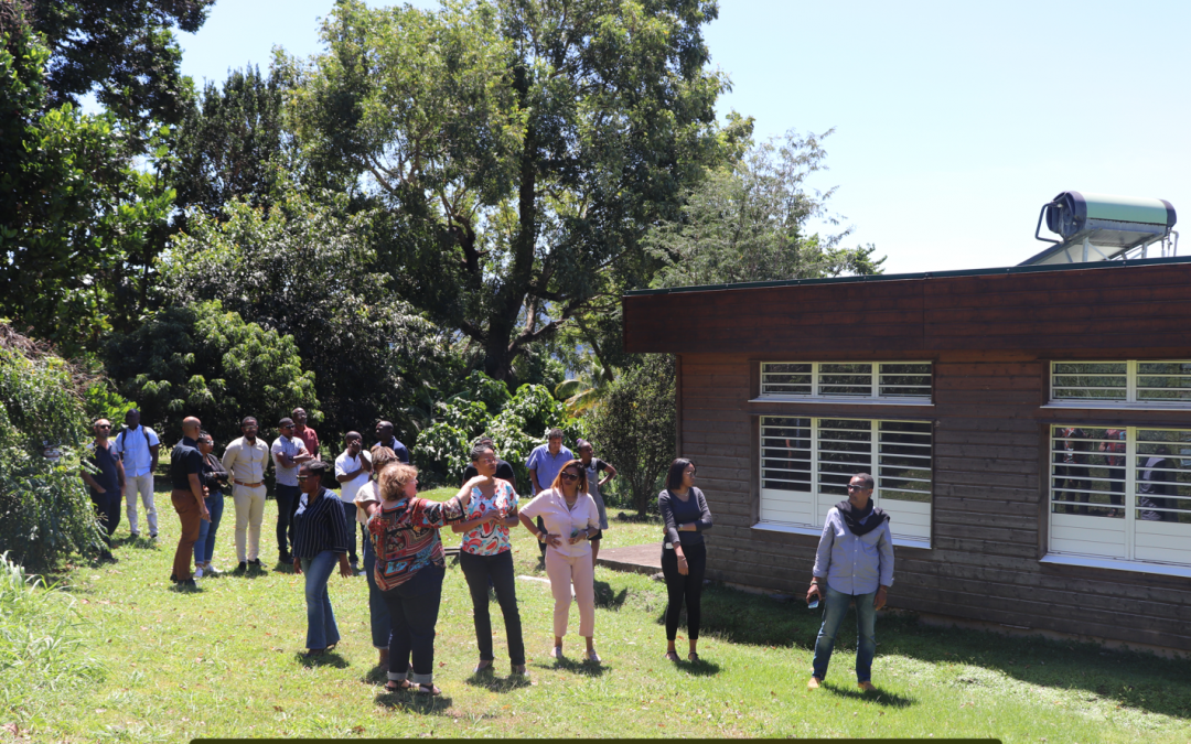 Formation des enseignants de la filière bâtiment